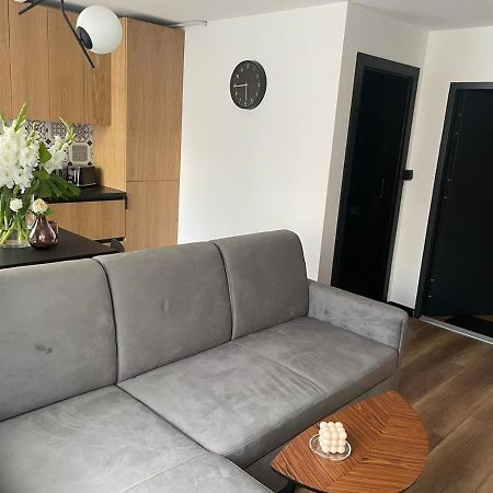 Apartamenty Nadrzeczna 14 Karpacz Eksteriør billede
