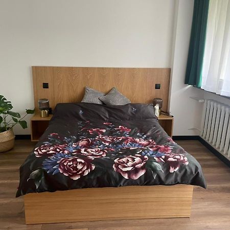 Apartamenty Nadrzeczna 14 Karpacz Eksteriør billede