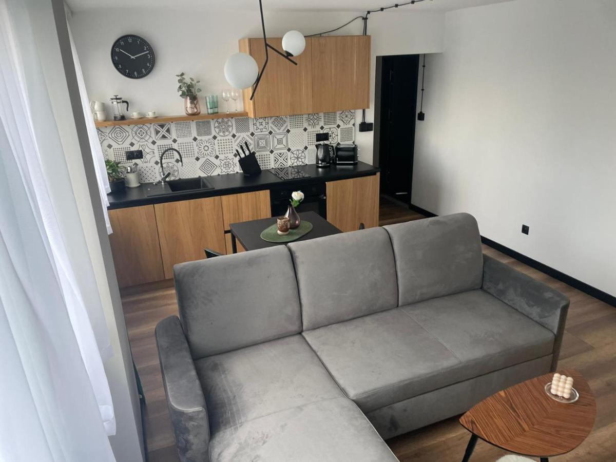 Apartamenty Nadrzeczna 14 Karpacz Eksteriør billede