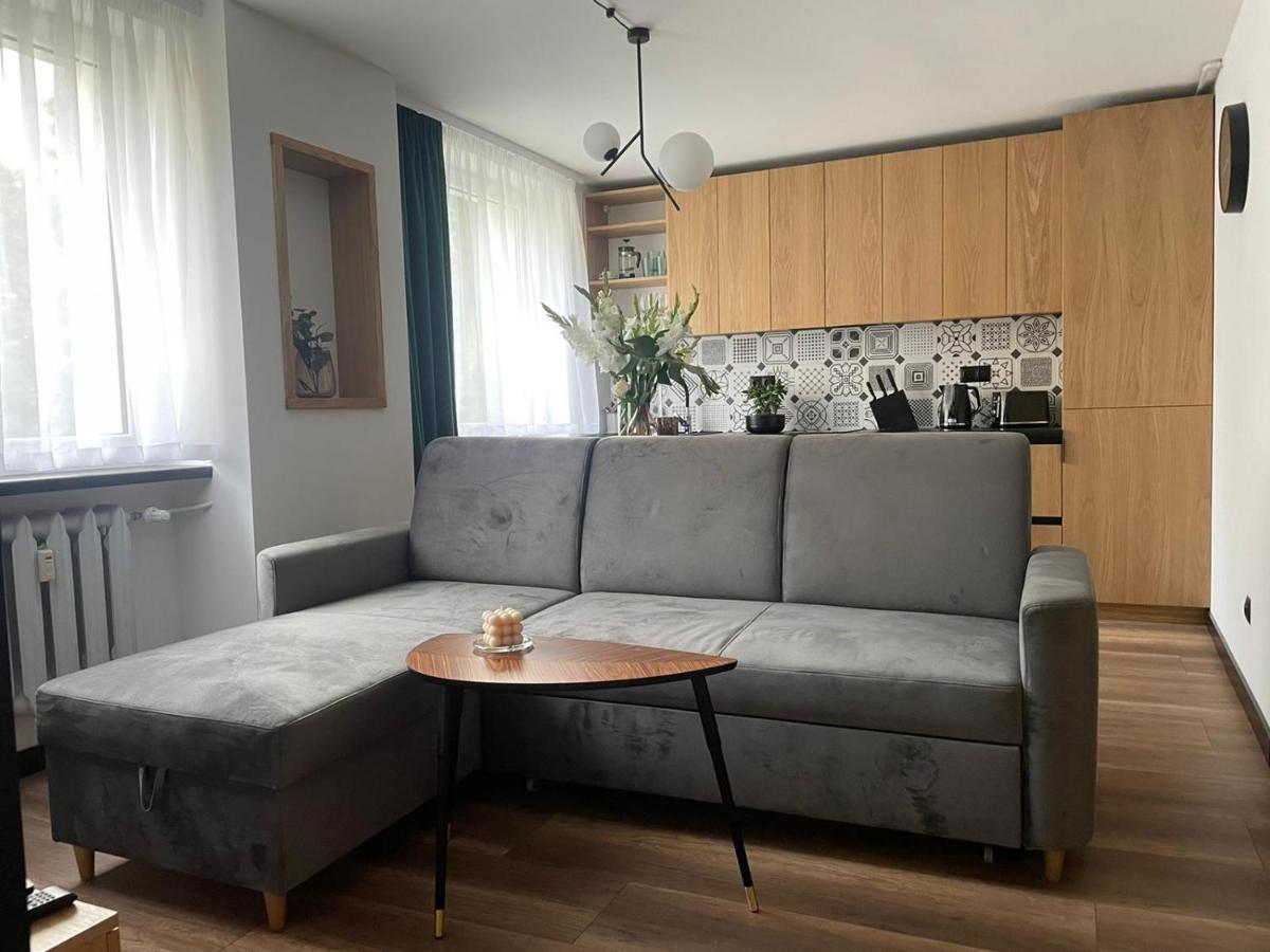 Apartamenty Nadrzeczna 14 Karpacz Eksteriør billede