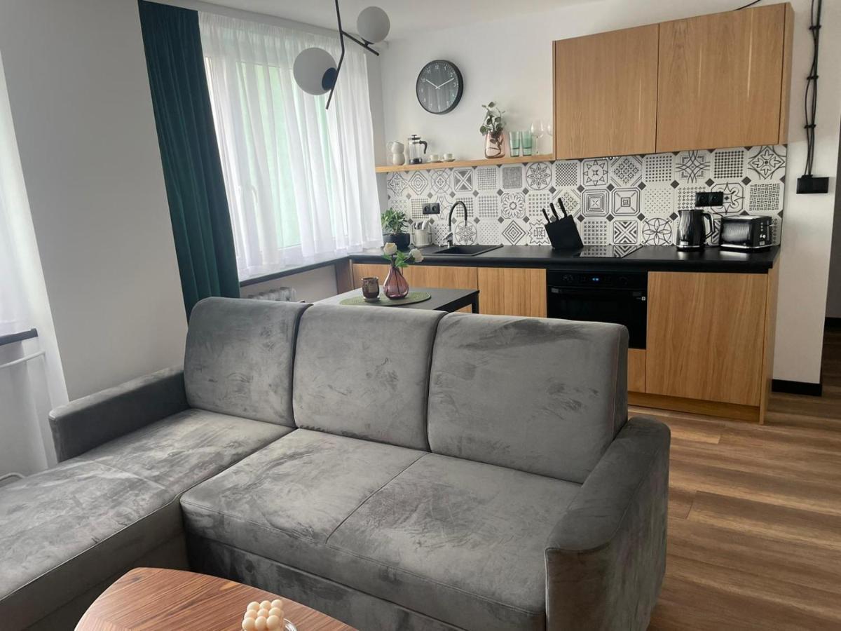 Apartamenty Nadrzeczna 14 Karpacz Eksteriør billede